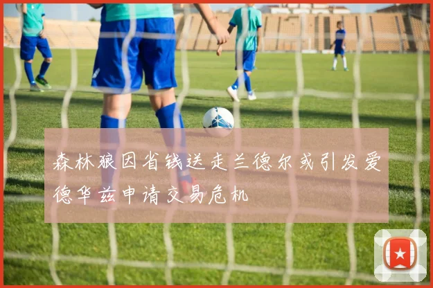 森林狼因省钱送走兰德尔或引发爱德华兹申请交易危机